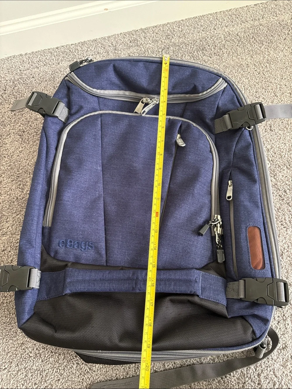 eBags Mother Lode Travel Backpack Convertible Expandable Luggage Bag